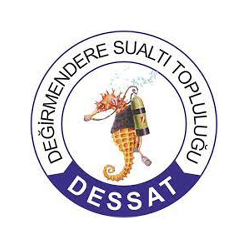 DESSAT1080-1024x1024